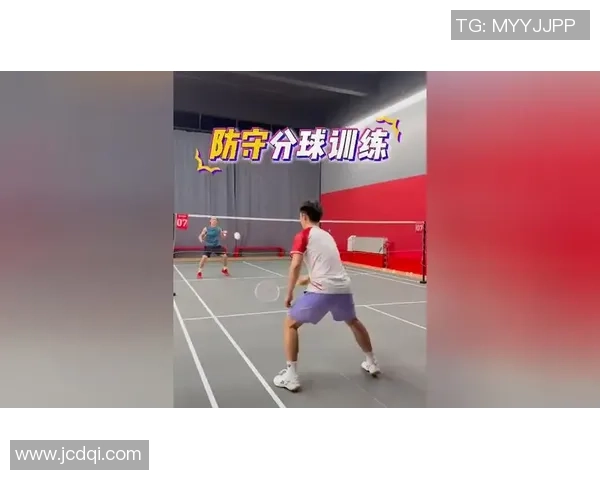深入分析杭州羽毛球队区域防守战术的特点与应用策略