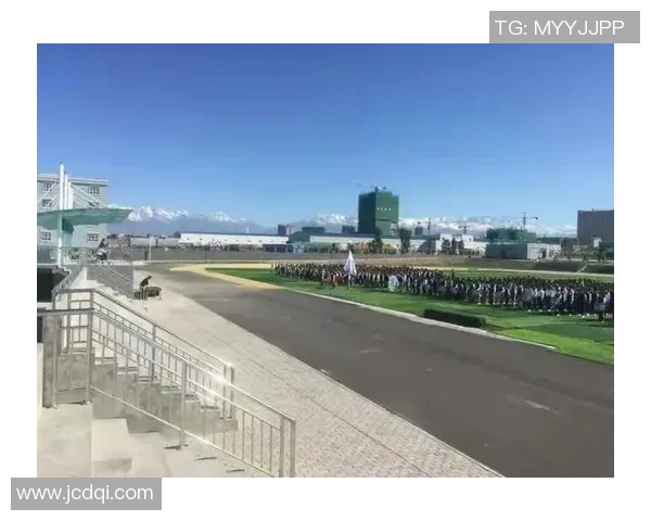 羽毛球场上的追梦旅程：陈静的奋斗与成长故事